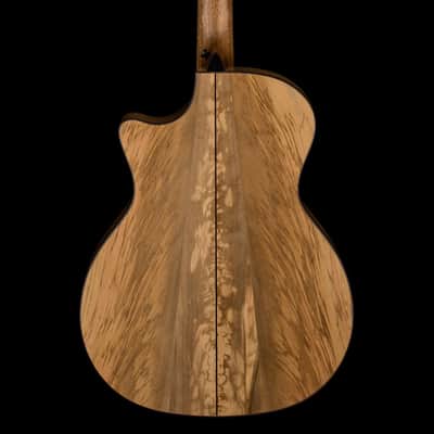 Taylor 814ce Special Edition Sassafras #26004 image 4