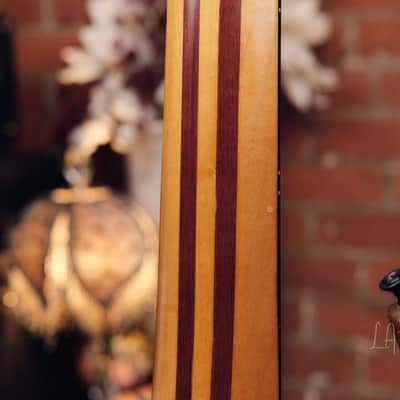 Laurus Quasar 5 String Bass - Great Active 5 String! image 17