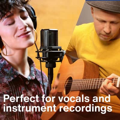 Immagine Lewitt Audio LCT 440 PURE Large-Diaphragm Condenser Microphone+Shockmount - 3