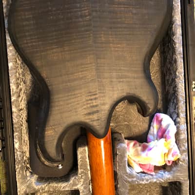 Equator Instruments Languedoc style Hollowbody Guitar image 9