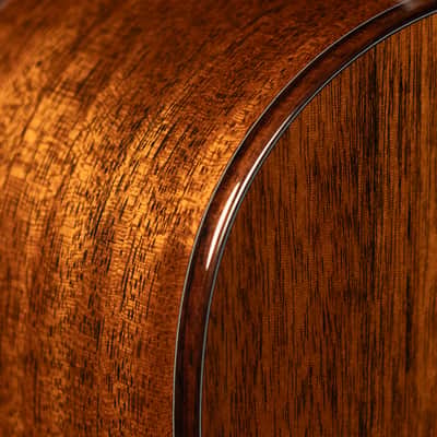 Brand New Boucher Bluegrass Goose BG-42T-G Dreadnaught with Torrefied Adirondack / Torrefied Mahogany! image 6