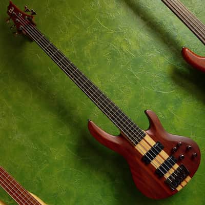 ESP LTD B-5E Neck-thru active 5-string bass (Mahogany top version) image 1