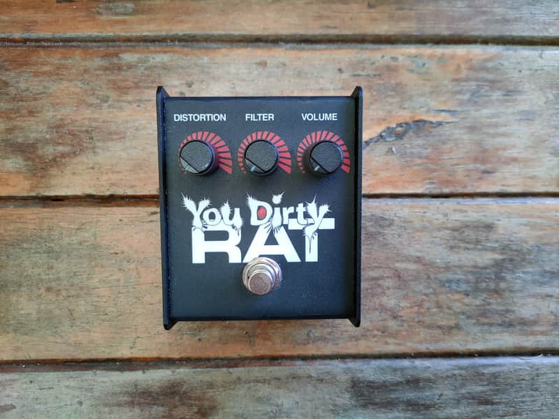 ProCo You Dirty RAT | Reverb Australia