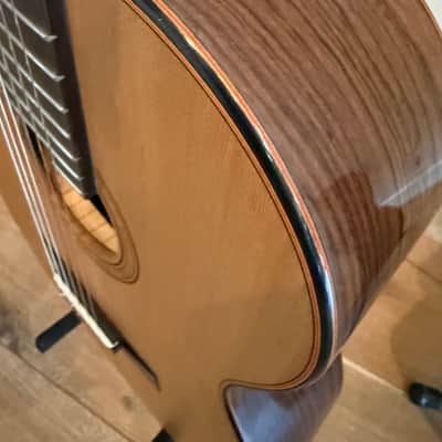 Giussani Messala 2025 - Western Red Cedar Indian Rosewood Ebony image 4