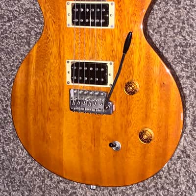 PRS SE Santana Standard Tortoise Shell electric guitar image 4