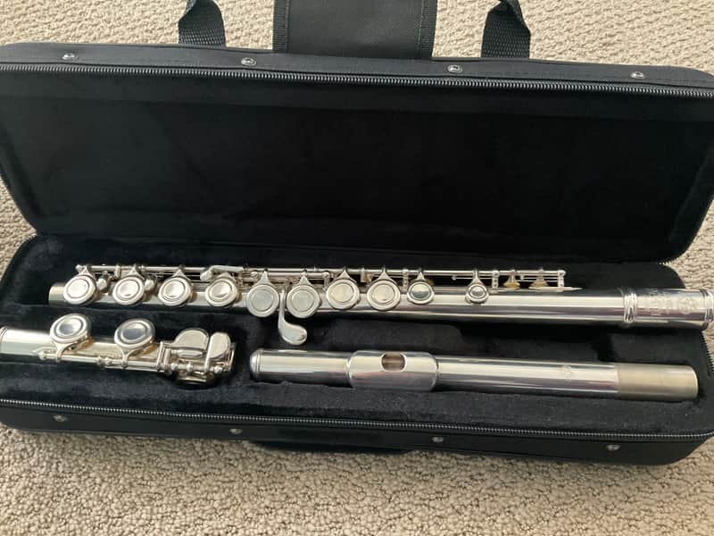 Di Zhao DZ 220 - Closed Hole Flute All New Pads, New Case image 1