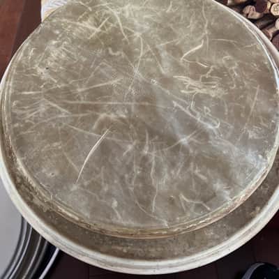 Calf skin drum head 14” calf skin snare side 60s image 1