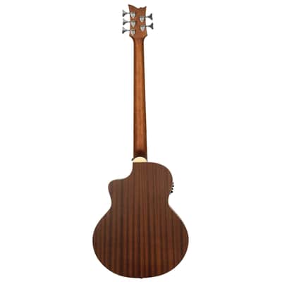 Ortega D7CE-5 - Acoustic Electric 5-String Bass Medium Scale Ortega Spruce Mahogany Cutaway image 19