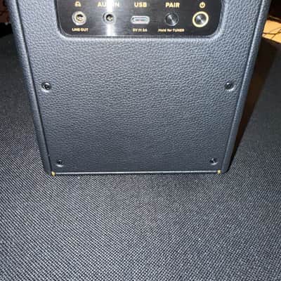 Positive Grid Spark MINI Portable Digital Modeling Guitar Practice Amp 2022 - Present - Black image 2
