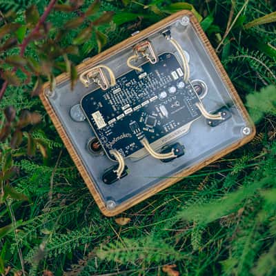 Shotmaker The Heartbeat Preamp Tremolo - oiled wood image 3