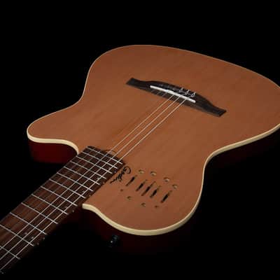 Godin MultiAc Nylon Encore – Natural Semi-gloss (035045), Godin V1095 MultiAc Case Bundle image 6
