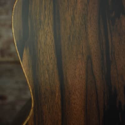 2022 Lowden F-35C Acoustic Ebony / Sitka Spruce image 12