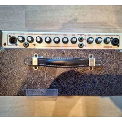 ASHDOWN - WOODSMAN 40W SN/09230903 image 3