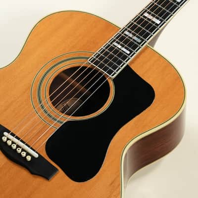 Guild F-50R, manufactured in 1975 [125078] (06/22) image 8