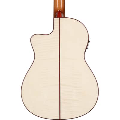 Cordoba Fusion 12 Classical Acoustic-Electric Guitar, White Sands image 7