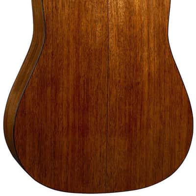 CS D-18 Adirondack image 2