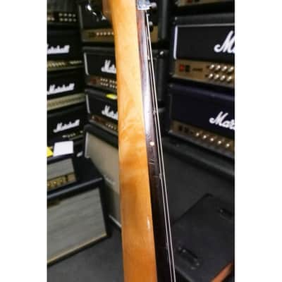 Washburn N2 image 9