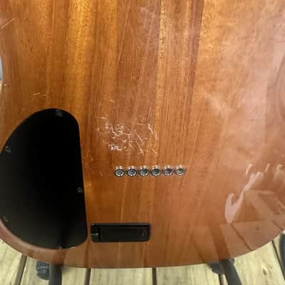 Carvin AE185 2001 image 7