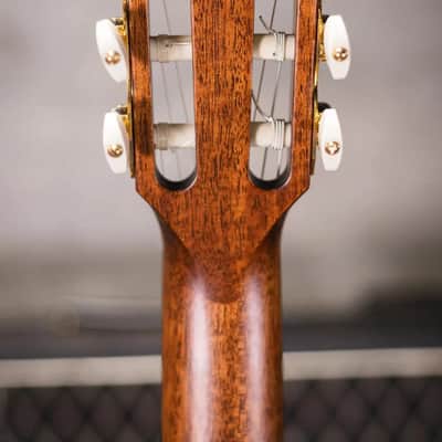 Taylor PS14ce-N Honduran Rosewood/Sinker Redwood Nylon Acoustic/Electric Guitar with Hardshell Case image 7