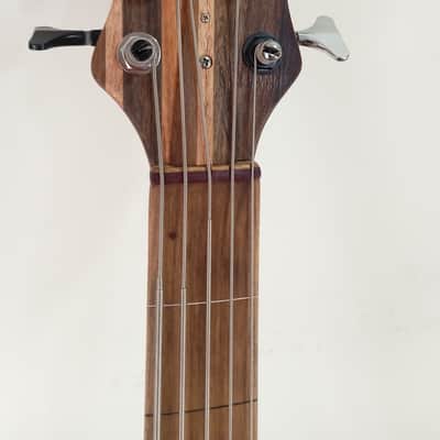 Thompson tribute Bassovarius #2 "Full Rainbow"5 strings bass image 3