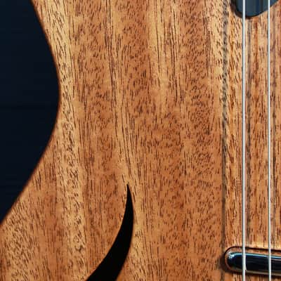 Taylor T5z Classic Mahogany Top Electric-Acoustic Hybrid image 8