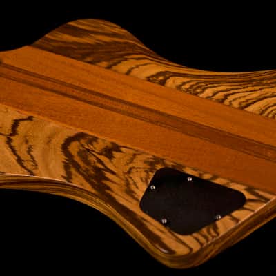 Gibson Firebird V "Guitar of the Week" Limited Edition 2007 Zebra Wood image 8