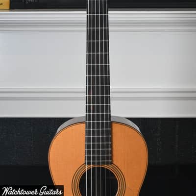 1891 Martin 1-21 Acoustic image 3