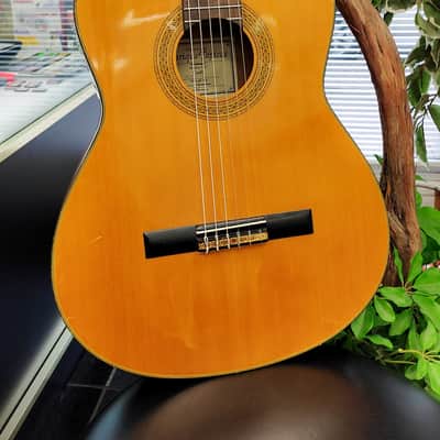 Enrique Tapicas C40 Cadiz Classical Guitar by Washburn - Natural image 2