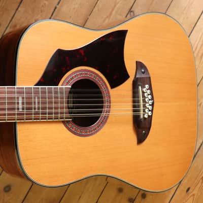 1978 Eko Rio Bravo 12 (Best Around) + Pro Setup + TKL Case (#32) image 3