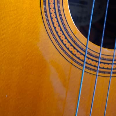 Alte Gitarre Guitar von 1970-1980 image 7