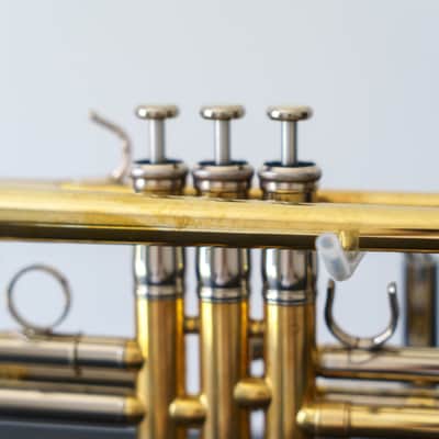 Yamaha YTR-8335II Xeno Bb Trumpet in Raw Brass (SN 5650xx) image 19