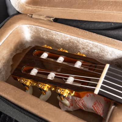 Yamaha GC42C - All Solid Classical Guitar - Cedar/Madagascar Rosewood - 2026 image 16