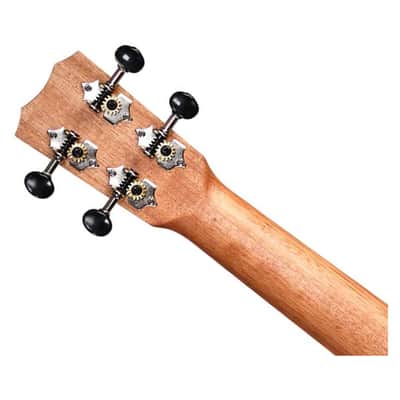 Cordoba 24S Spruce Soprano Ukulele w/ Spalted Maple Back image 5