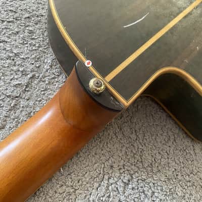 Eko 39 Inch Classical Guitar Project, Spruce Top, Rosewood Body, Mahogany Neck image 5
