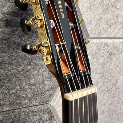 Manuel Adalid Homenaje - Cedar Double top/Solid Ziricoté back/sides - Handmade in Spain - 2025 image 19