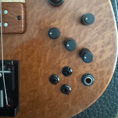 Fodera Imperial Elite 5 – Redwood Burl Top / Walnut Body – Excellent Condition (Home Studio Only) image 8