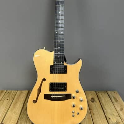 Carvin AE185 2001 image 2