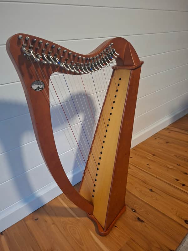 CAMAC 22 string Bardic 2015-2020 - Wood image 1
