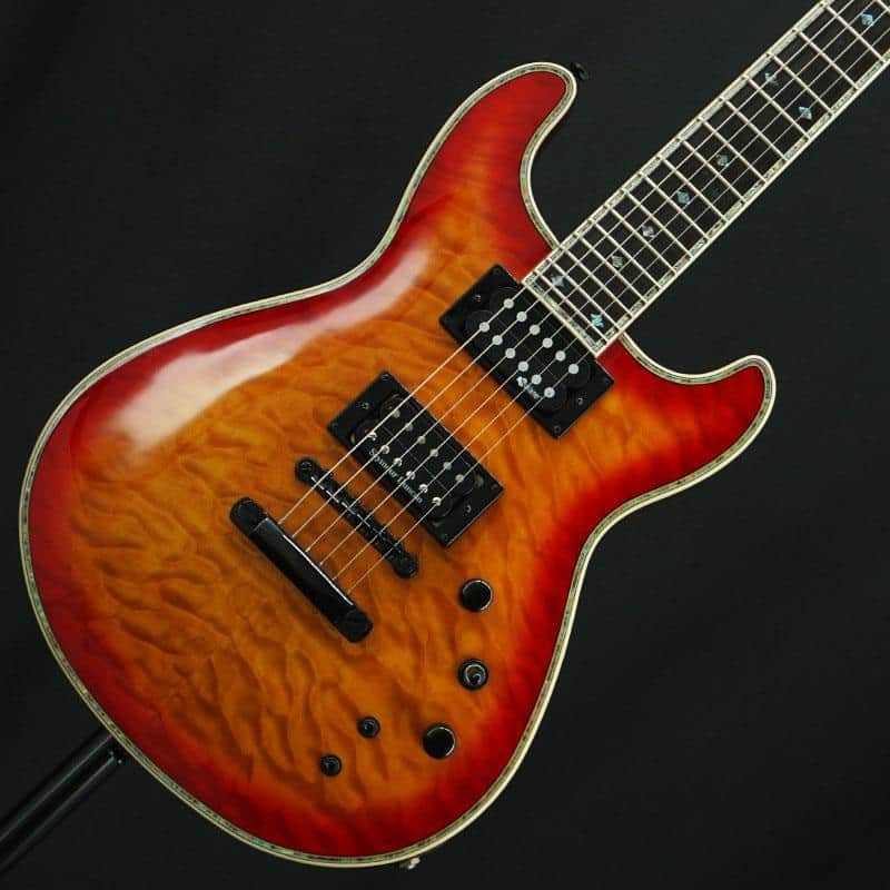 FERNANDES / Burny Used Fernandez/Bernie Dragonfly Elite (See-Thru
