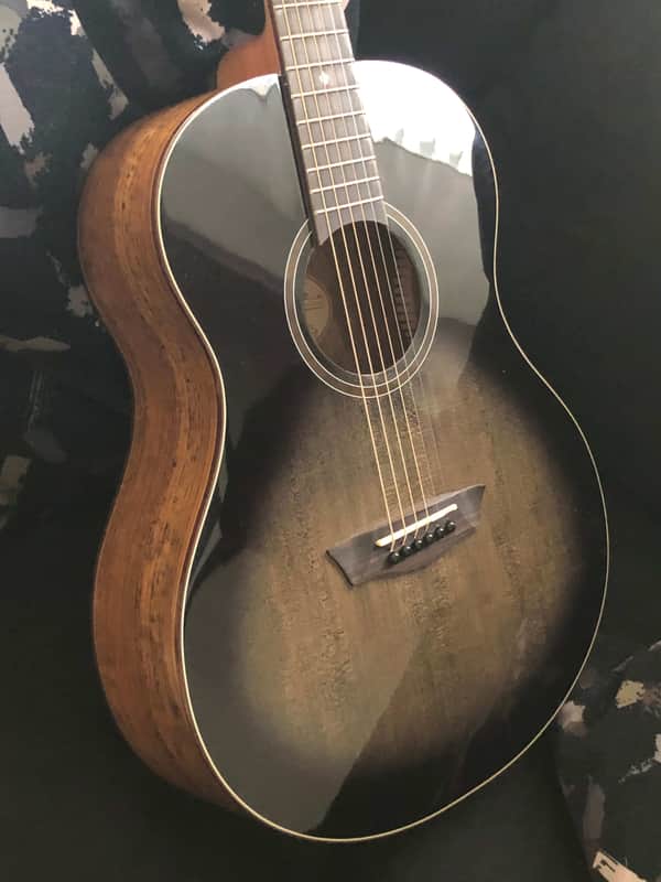 Washburn 6 String Acoustic Guitar, Right (BTS9CH-D) image 1