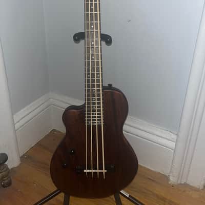 Gold Tone  ME-Bass: 23-Inch Scale Electric MicroBass 2015 Mahogany Natural/Satin image 1