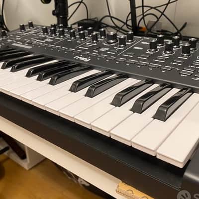 Moog Messenger 32-Key Monophonic Synthesizer 2025 - Present Black image 3