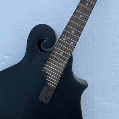 Washburn 8 String Mandolin Project in Black, Solid Spruce Top, Solid Mahogany Body image 8