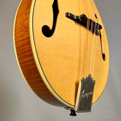 Bourgeois M5A Mandolin - Natural image 5