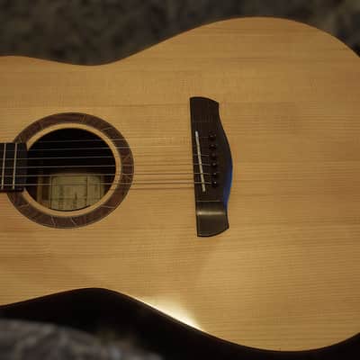 Peterson D-100 MY (2021) USA Handbuilt Boutique Acoustic Dreadnought - Fishman Matrix Infinity, OHSC image 13