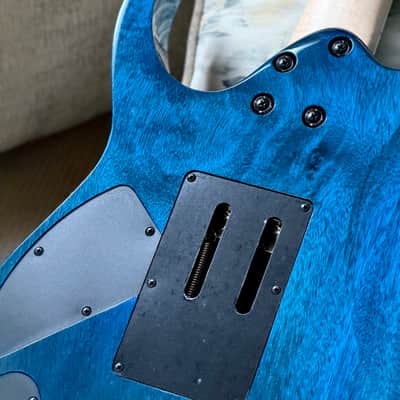 Ibanez LACS 2025 - ZUMA LACS20 Los Angelas Custom Shop image 17