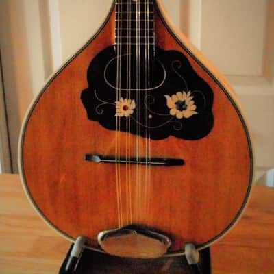 "Vintage" Perl-Gold German Mandolin  natural "Newly Restored" image 6