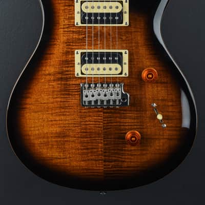 Paul Reed Smith SE Custom 24 '24 image 2