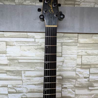 Godin xtSA 2006 - Light Burst with OHSC image 6