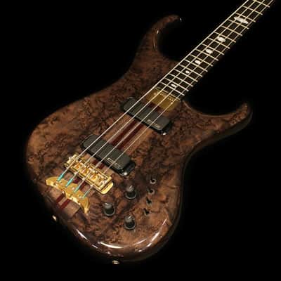 ALEMBIC USED ​​Used Europa 4 (Birdseye Maple Top / TBK) '19 image 2